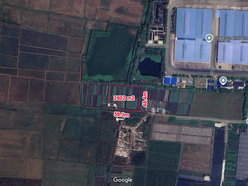 Rẻ! Đất 2.9tr/m² 0.3Ha – Xuân Thới Thượng 2 HM - Ảnh chính